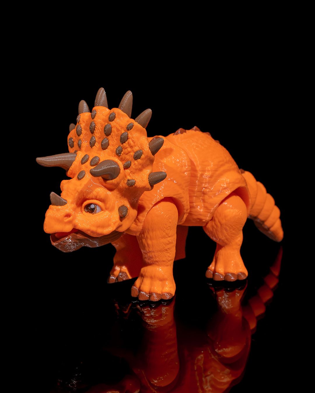 Triceratops