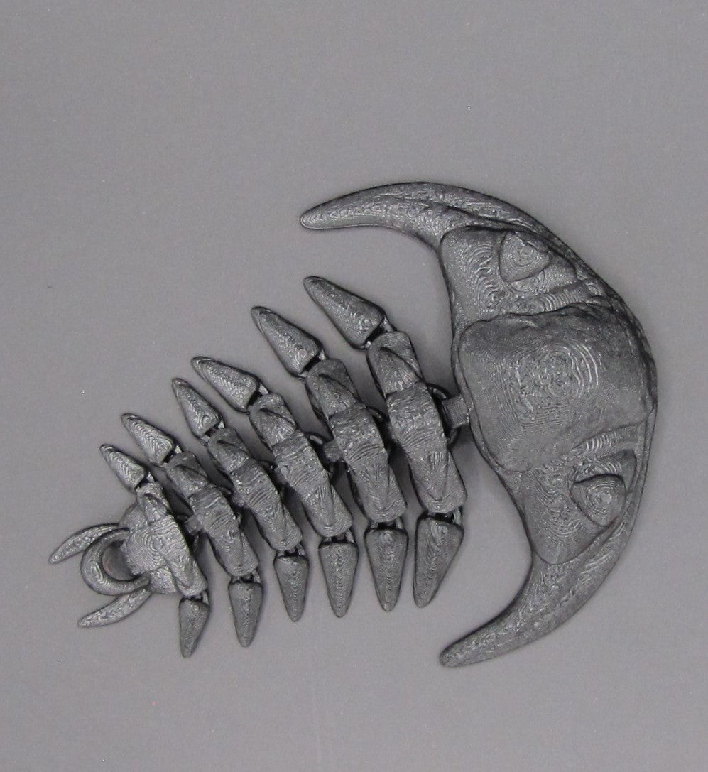 Trilobite Arthropod