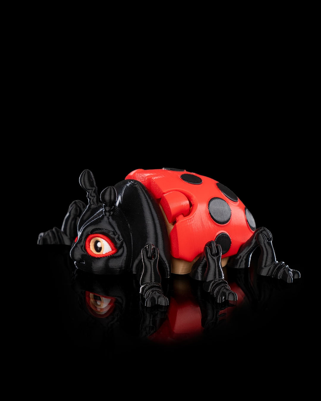 Lilly Ladybug