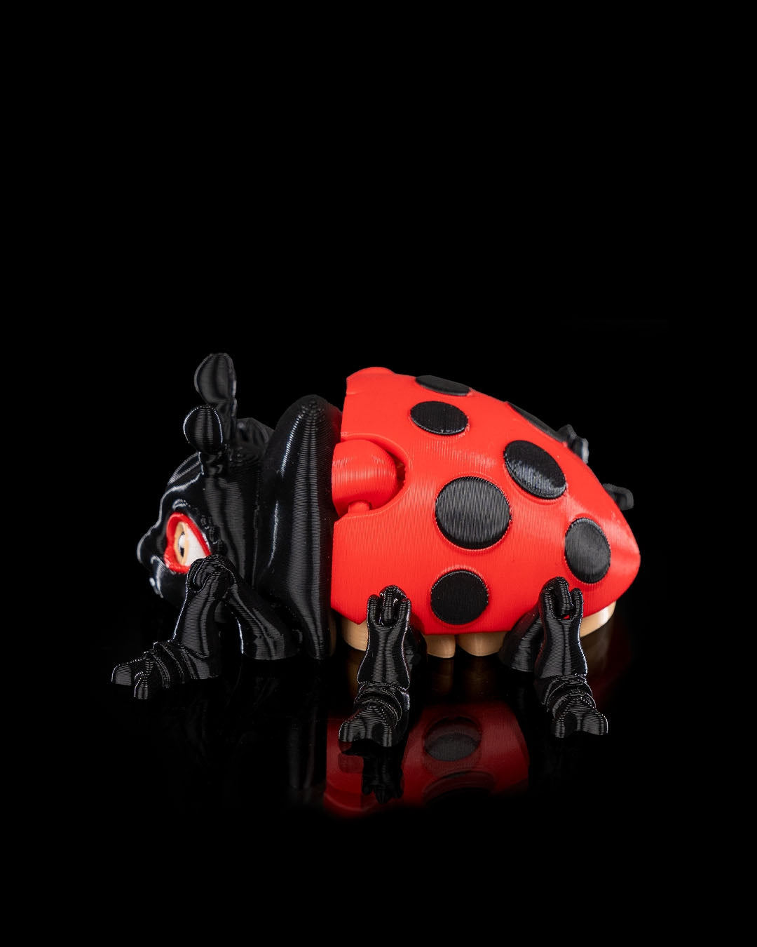 Lilly Ladybug